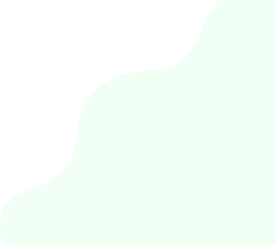 网站攻击软件